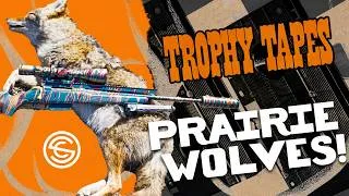 Thumbnail: Hunting Coyotes with Suppressed Rifles in the Middle of Nowhere!