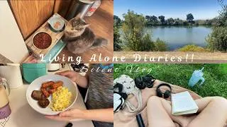 Thumbnail: Living Alone Diaries | A Day in my life  | Realistic ✨| Silent Video