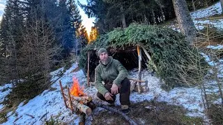 Thumbnail: Building A Winter Survival Shelter Alone In The Austrian Wilderness 