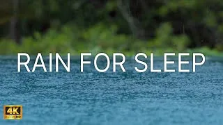 Thumbnail: Real Rain on Water Surface – 3 Hours of Natural Rain Sounds for Sleep | Silent Rain Nights