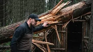 Thumbnail: A Giant Tree Crushed My Shelter — I Could Have DIED