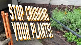 Thumbnail: Stop Crushing Your Plants! Make These Easy Hose Guides