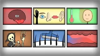 Thumbnail: Every 'Fact' About Your Body That Is Completely Wrong