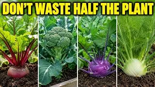 Thumbnail: 15 Crops That Produce More Food Than You Think—Harvest Them Right