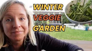 Thumbnail: What I'm Growing in My Winter Veggie Garden | Australia