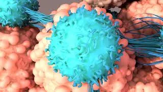 Thumbnail: How a Fever Fights Infection And Why You Feel Ill