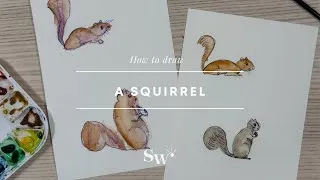 Thumbnail: How to Draw a Squirrel (2 ways!) | Lesson 8