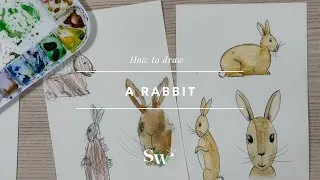 Thumbnail: How to Draw a Rabbit (3 ways!) | Lesson 6