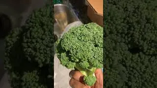Thumbnail: Odd Bunch First Box Delivery