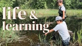 Thumbnail: A Month of Homeschooling | Our May Diary