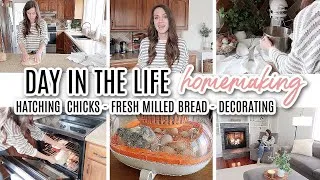 Thumbnail: DAY IN THE LIFE OF A HOMESTEADING MOM OF 3 // HATCHING CHICKS //  FRESH MILLED BREAD // SPRING DECOR