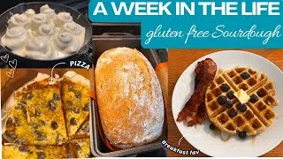 Thumbnail: A WEEK IN THE LIFE OF MY SOURDOUGH- Gluten Free Edition