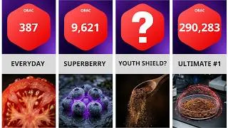 Thumbnail: Comparison: 50 Anti-Aging Superfoods Tested for Cellular Defense