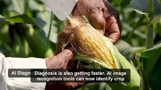Thumbnail: AI in Agriculture Overview