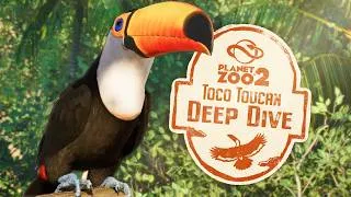 Thumbnail: How Realistic Is Planet Zoo 2’s Toco Toucan? 🌿 Species Deep Dive