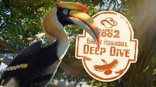 Thumbnail: How Realistic Is Planet Zoo 2’s Great Hornbill? 🌿 Species Deep Dive