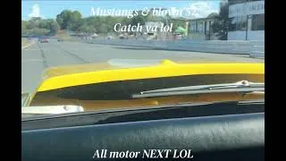 Thumbnail: Mustangs & blown 57 catch ya lol