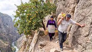 Thumbnail: Far From Civilization | Harvesting from a Giant Apple Orchard High in the Mountain