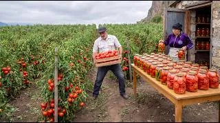 Thumbnail: They Descended From a High Mountain and Carried 160 kg of Harvest Home