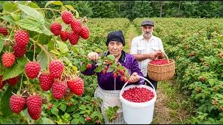 Thumbnail: Self-Sufficient Mountain Life - Jam from the Raspberry Orchard