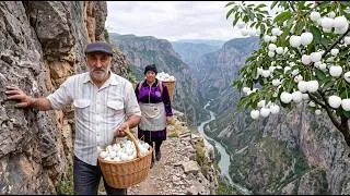 Thumbnail: The World's Rarest White Cherries Grow in This Orchard