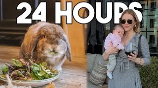 Thumbnail: 24 HOURS with a Rabbit and a Newborn
