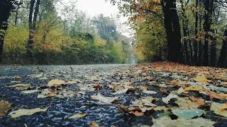 Thumbnail: 2 Hours of Relaxing Rain with Piano Music - Deep Sleep, Meditation, Study, Spa, Healing, Inner Peace
