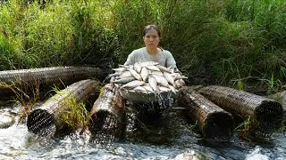 Thumbnail: The impoverished life of a poor woman—catching plenty of fish in the stream using old bamboo traps.