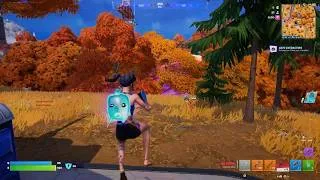 Thumbnail: Fortnite solo dub