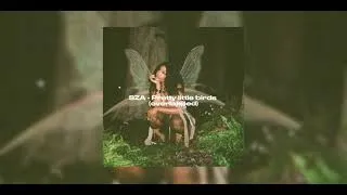 Thumbnail: SZA - Pretty little birds (overlapped)