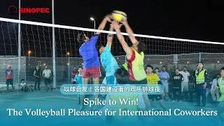 Thumbnail: Spike to Win! The Volleyball Pleasure for International Coworkers