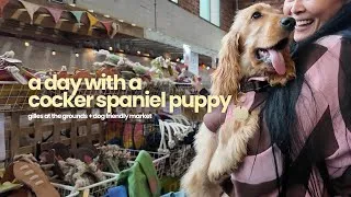 Thumbnail: Day in the Life of a Viral Cocker Spaniel Puppy | Dog-Friendly Vintage Market | Adelaide Vlog