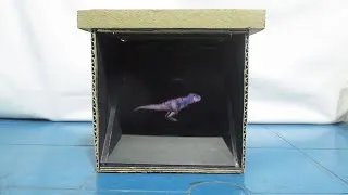 Thumbnail: How to Make 3D Hologram for School Project | Best Project for Science Exhibition in School