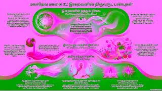 Thumbnail: மகாதேவ மாலை 31   மெய்ஞ்ஞானப் பேரொளி