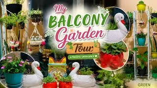 Thumbnail: Small Balcony Garden Makeover 🌿🌸#BalconyGarden #GardenIdeas #Plants #PlantLover #shorts #HomeGarden