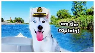 Thumbnail: Husky Goes Boating for the First Time! (and YELLS at ducks!)