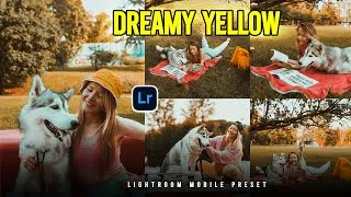 Thumbnail: Dreamy Yellow Lightroom Preset 2025 – FREE Download + Editing Tutorial (Mobile & PC)