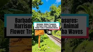 Thumbnail: Barbados' Hidden Treasures: Harrison's Cave Tram, Animal Flower Treks & Bathsheba Waves
