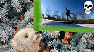 Thumbnail: WOOF! : Skelly Snowboarding Edit- Opening Day