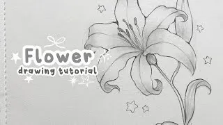 Thumbnail: ୨ৎ ₊˚ෆ How to Draw a Lily Flower Step by Step | For Beginners