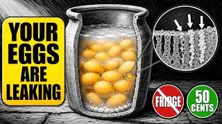 Thumbnail: Farmers Kept Eggs Fresh for 18 Months With No Fridge — The Trick Costs 50 Cents