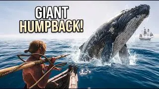 Thumbnail: I Hunted a Giant Humpback Whale in Assassin's Creed Black Flag Resynced