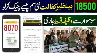 Thumbnail: 18000 Mubarak Ho! 8171 New Update 2026 | Benazir Kafalat 14500 Digital Wallet SIM | Bachon Ka Wazifa