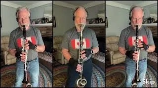 Thumbnail: Fig Leaf, A High Class Rag