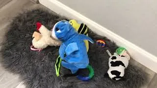 Thumbnail: Skippy listening to Baby Shark song (Shark Doo Doo) and loving it!
