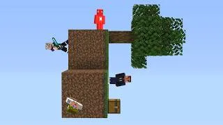Thumbnail: Skyblock, But We Each Have Different Gravity