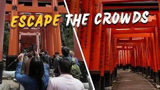 Thumbnail: How to Beat the Crowds at Fushimi Inari (Without a 5AM Start)