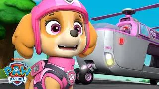 Thumbnail: Skye Uses Her Ultimate Rescue Copter to Save the Bridge! | PAW Patrol | Skye and Friends