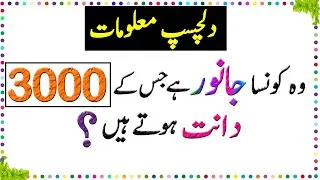 Thumbnail: Paheliyan In Urdu - General Knowledge Questions And Answer -  Facts About Animal Teeth - Sky Ways
