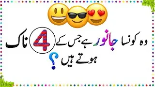 Thumbnail: Paheliyan In Urdu - General Knowledge Questions And Answer -  Facts About Animal Nose - Sky Ways